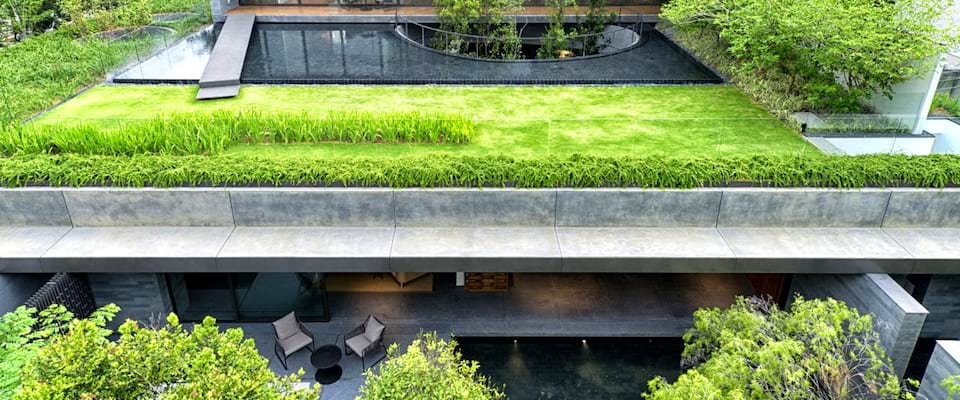 بام سبز: راهکار پایدار برای ایجاد محیطی زیبا و خنک