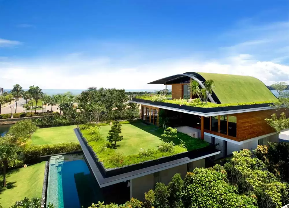 ایجاد محیطی زیبا و خنک با بام سبز