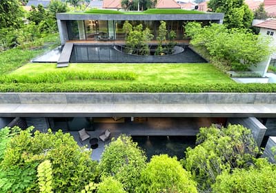 بام سبز: راهکار پایدار برای ایجاد محیطی زیبا و خنک