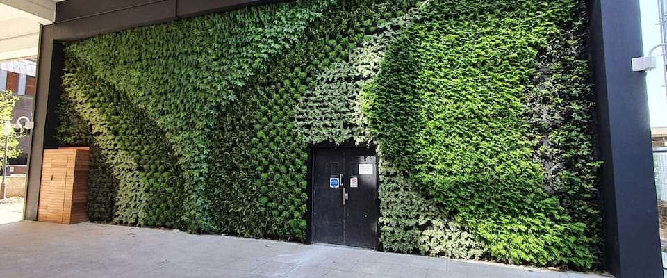 دیوارهای سبز: هوای تازه در مناظر شلوغ شهری